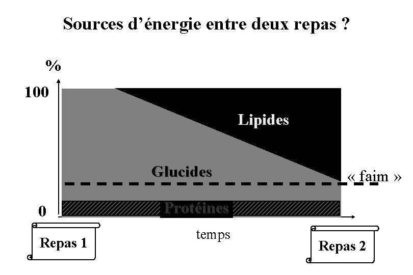 Sources d’énergie entre deux repas ? % 100 Lipides Glucides 0 Repas 1 «