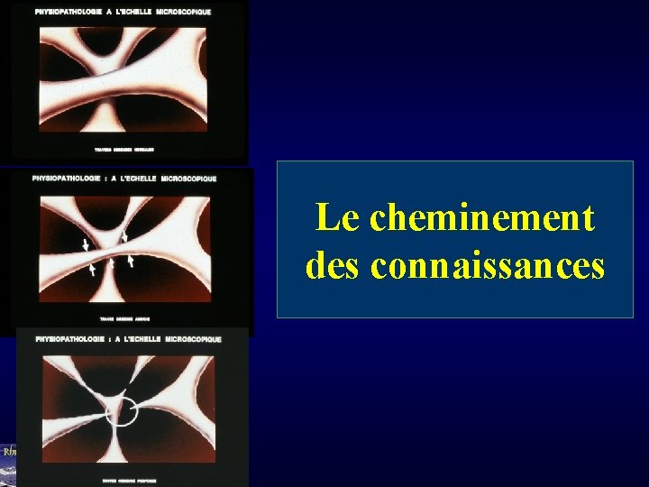 Le cheminement des connaissances 