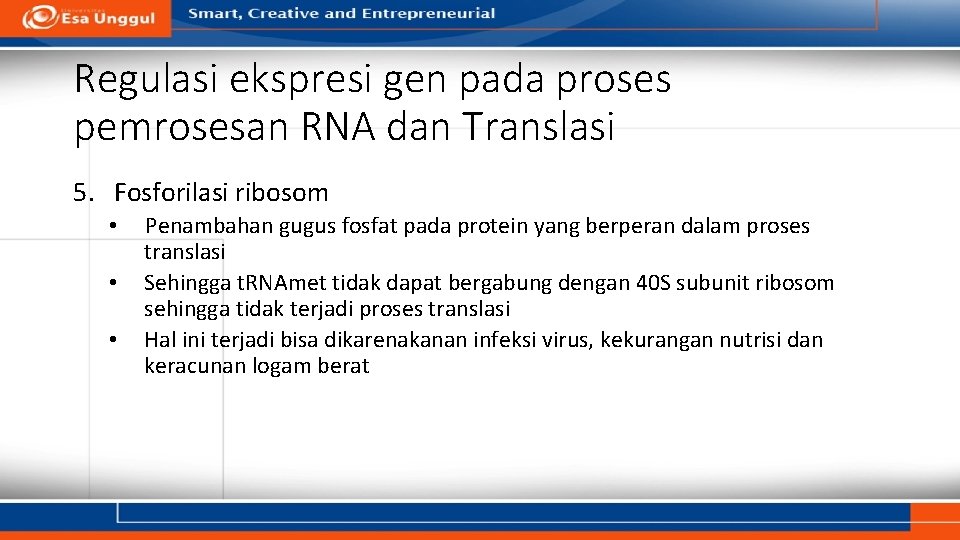 Regulasi ekspresi gen pada proses pemrosesan RNA dan Translasi 5. Fosforilasi ribosom • •
