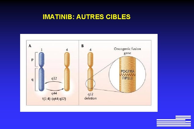 IMATINIB: AUTRES CIBLES IMATINIB: AUTRES CIBLES