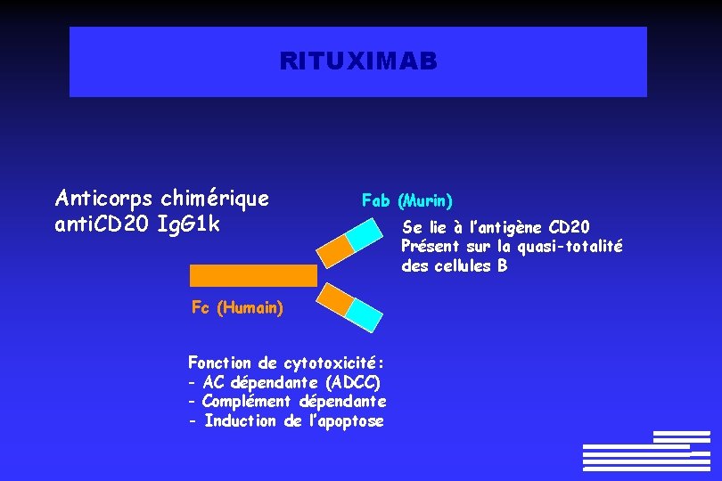 RITUXIMAB Anticorps chimérique anti. CD 20 Ig. G 1 k Fab (Murin) Fc (Humain) RITUXIMAB Anticorps chimérique anti. CD 20 Ig. G 1 k Fab (Murin) Fc (Humain)
