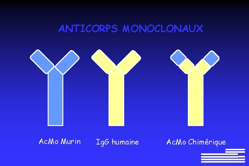 ANTICORPS MONOCLONAUX Ac. Mo Murin Ig. G humaine Ac. Mo Chimérique ANTICORPS MONOCLONAUX Ac. Mo Murin Ig. G humaine Ac. Mo Chimérique