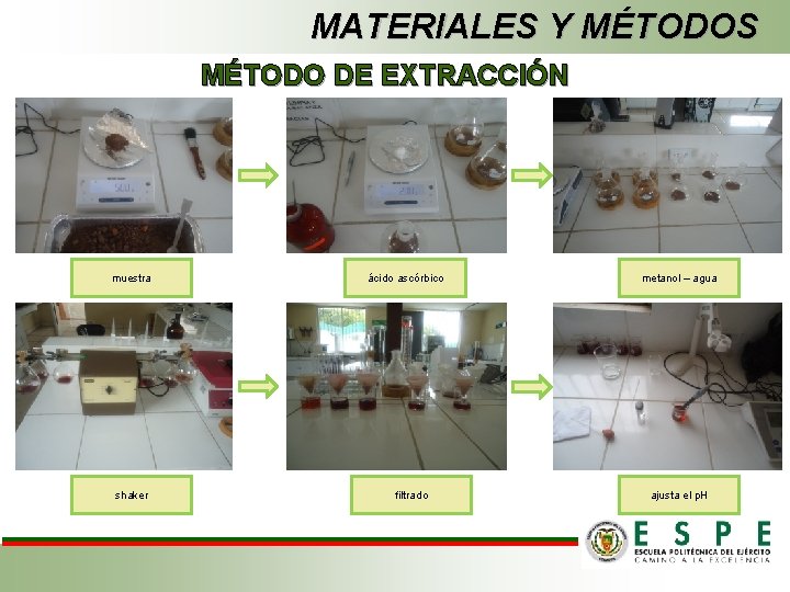 MATERIALES Y MÉTODOS MÉTODO DE EXTRACCIÓN muestra shaker ácido ascórbico filtrado metanol – agua