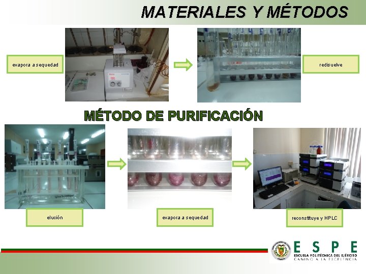 MATERIALES Y MÉTODOS evapora a sequedad redisuelve MÉTODO DE PURIFICACIÓN elución evapora a sequedad