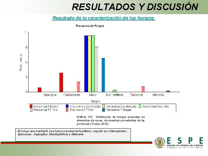 RESULTADOS Y DISCUSIÓN Resultado de la caracterización de los hongos. Gráfico 3. 5: Distribución