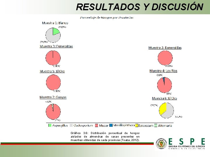 RESULTADOS Y DISCUSIÓN Gráfico 3. 6: Distribución porcentual de hongos aislados de almendras de