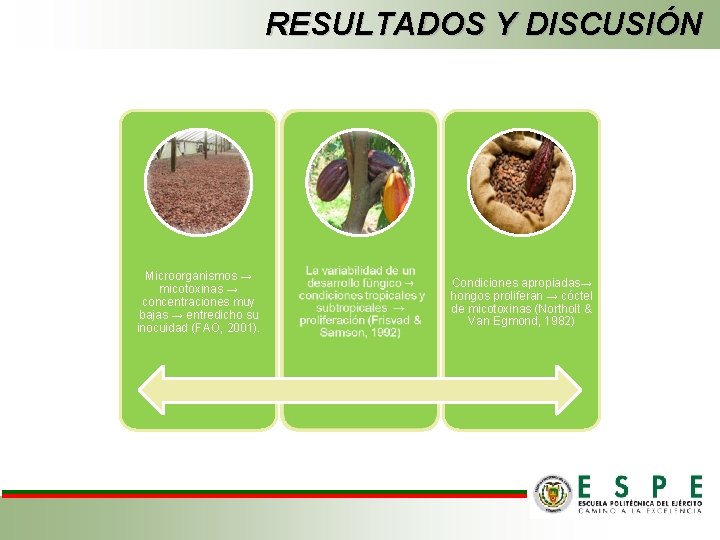 RESULTADOS Y DISCUSIÓN Microorganismos → micotoxinas → concentraciones muy bajas → entredicho su inocuidad