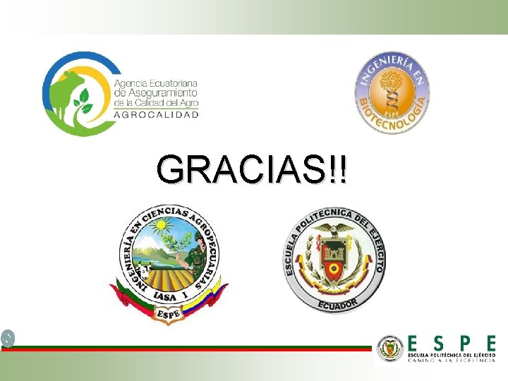 GRACIAS!! 