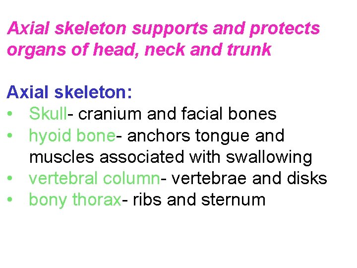Axial skeleton supports and protects organs of head, neck and trunk Axial skeleton: •