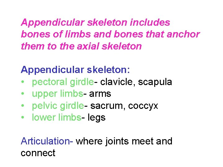 Appendicular skeleton includes bones of limbs and bones that anchor them to the axial