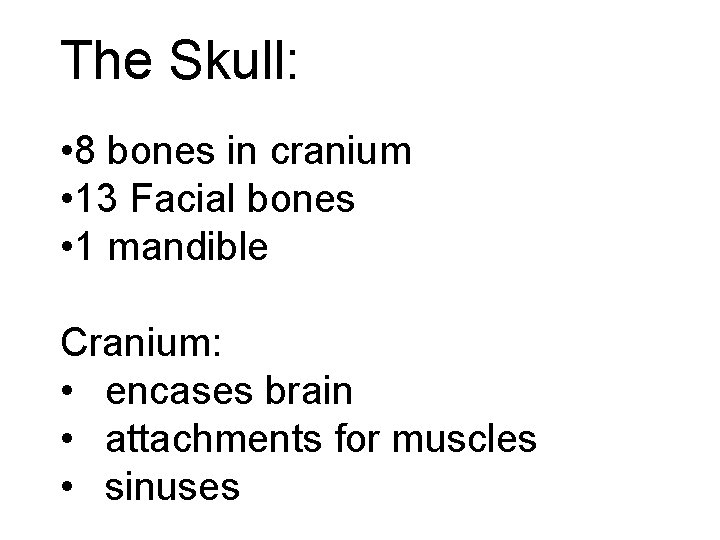 The Skull: • 8 bones in cranium • 13 Facial bones • 1 mandible