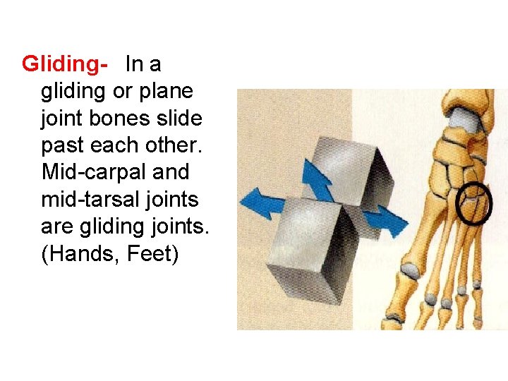 Gliding-  In a gliding or plane joint bones slide past each other. Mid-carpal and