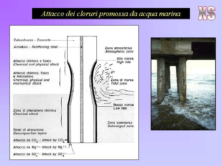 Attacco dei cloruri promossa da acqua marina • L’acqua di mare è costituita da