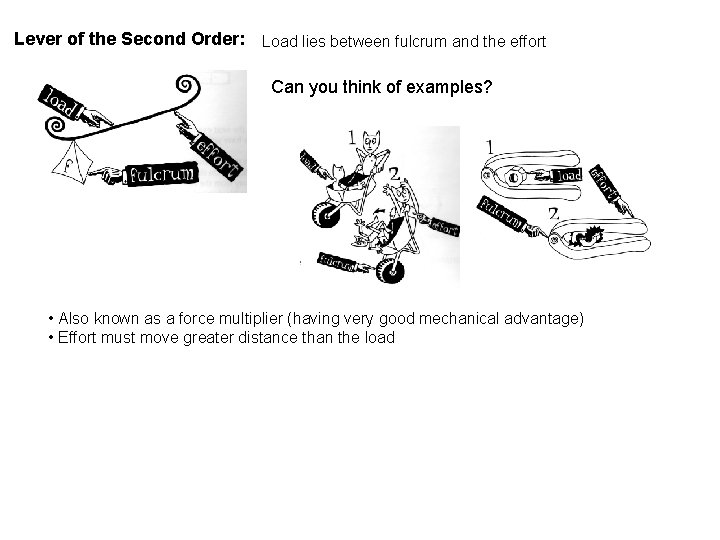 Lever of the Second Order: Load lies between fulcrum and the effort Can you