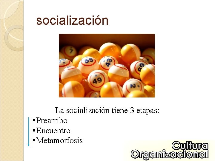 socialización La socialización tiene 3 etapas: §Prearribo §Encuentro §Metamorfosis 