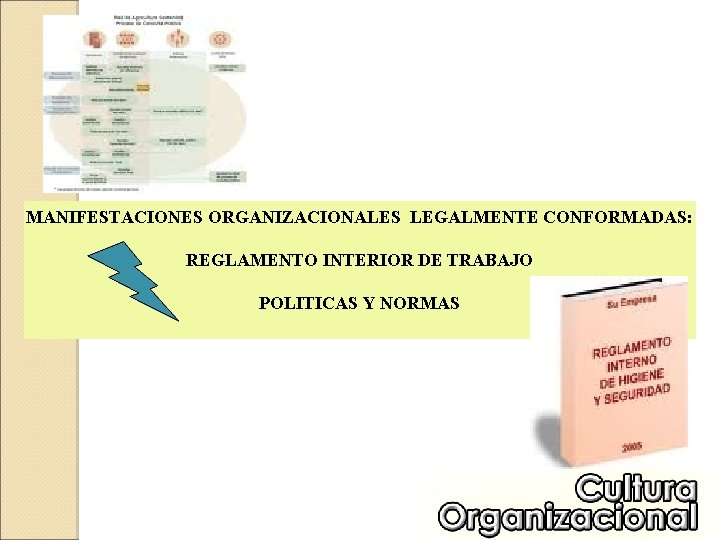 MANIFESTACIONES ORGANIZACIONALES LEGALMENTE CONFORMADAS: REGLAMENTO INTERIOR DE TRABAJO POLITICAS Y NORMAS 
