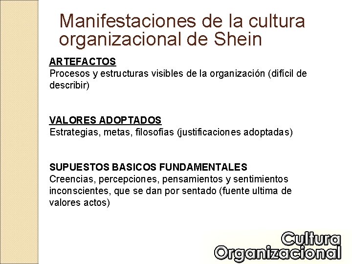 Manifestaciones de la cultura organizacional de Shein ARTEFACTOS Procesos y estructuras visibles de la