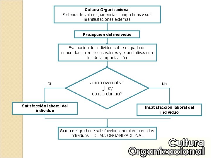 Cultura Organizacional Sistema de valores, creencias compartidas y sus manifestaciones externas Precepción del individuo