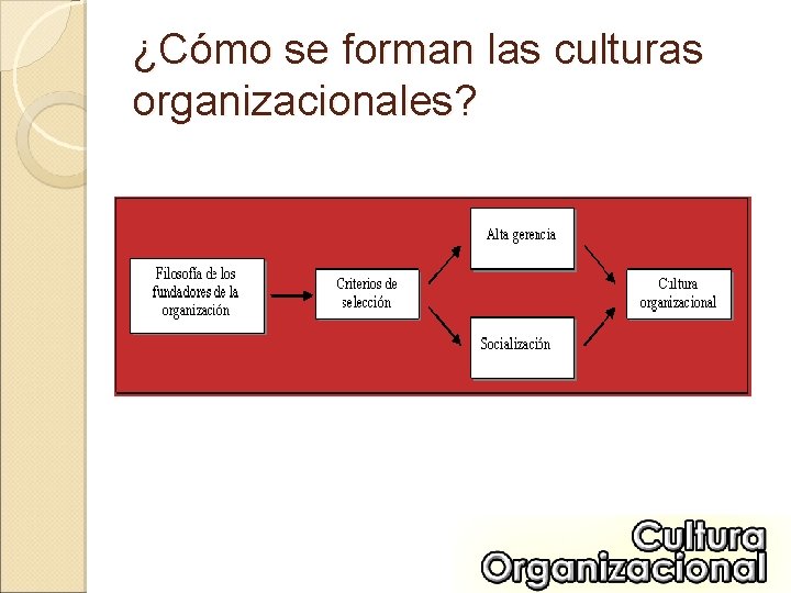 ¿Cómo se forman las culturas organizacionales? 