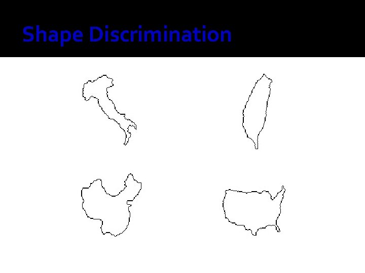 Shape Discrimination 