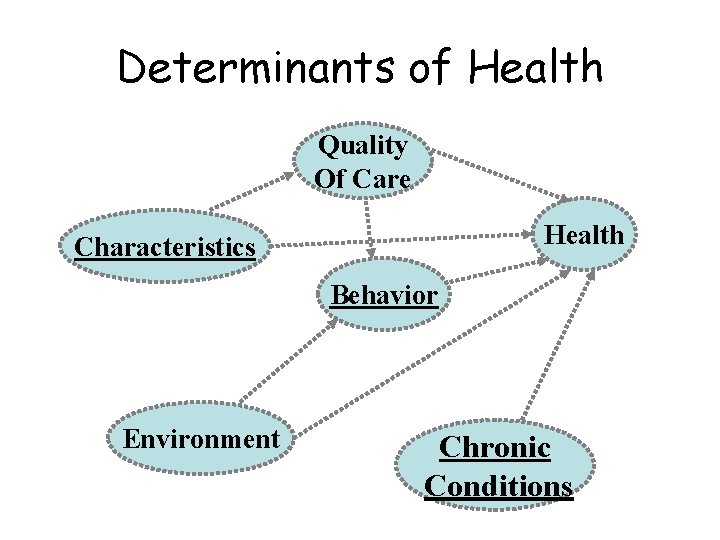 Determinants of Health Quality Of Care Health Characteristics Behavior Environment Chronic Conditions 