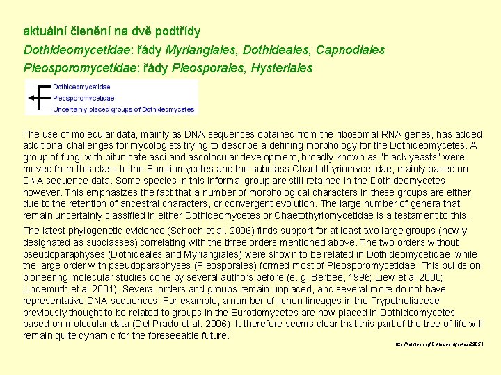 aktuální členění na dvě podtřídy Dothideomycetidae: řády Myriangiales, Dothideales, Capnodiales Pleosporomycetidae: řády Pleosporales, Hysteriales