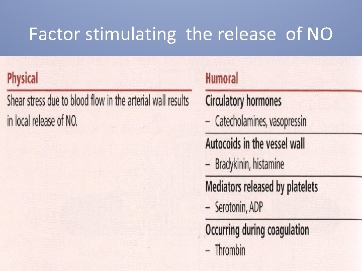 Factor stimulating the release of NO 