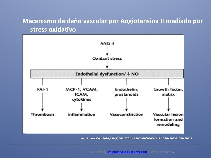 Mecanismo de daño vascular por Angiotensina II mediado por stress oxidativo Ann Intern Med.