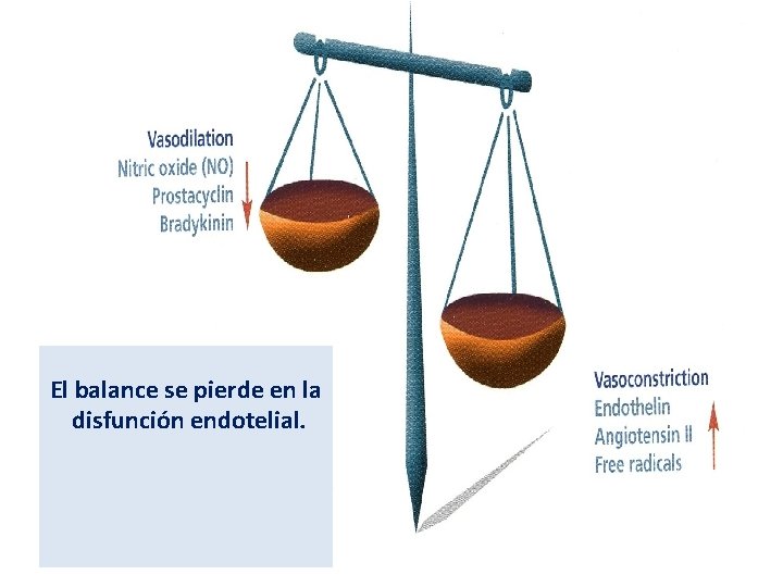 El balance se pierde en la disfunción endotelial. Onder, M; Barutcuoglu, B. ; Heagerty,