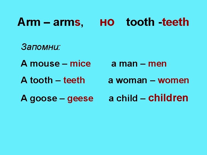 Arm – arms, но tooth -teeth Запомни: A mouse – mice a man –