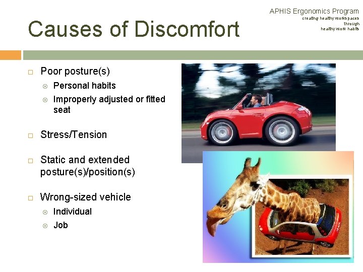APHIS Ergonomics Program Causes of Discomfort Poor posture(s) Personal habits Improperly adjusted or fitted APHIS Ergonomics Program Causes of Discomfort Poor posture(s) Personal habits Improperly adjusted or fitted