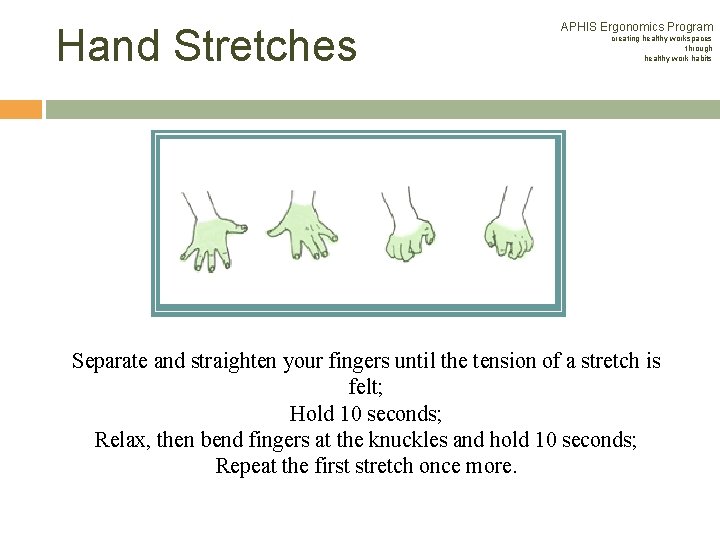 Hand Stretches APHIS Ergonomics Program creating healthy workspaces through healthy work habits Separate and Hand Stretches APHIS Ergonomics Program creating healthy workspaces through healthy work habits Separate and