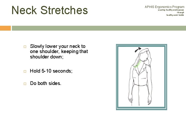 Neck Stretches Slowly lower your neck to one shoulder, keeping that shoulder down; Hold Neck Stretches Slowly lower your neck to one shoulder, keeping that shoulder down; Hold