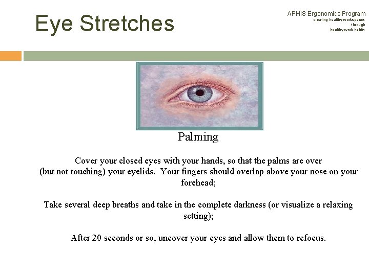 APHIS Ergonomics Program Eye Stretches creating healthy workspaces through healthy work habits Palming Cover APHIS Ergonomics Program Eye Stretches creating healthy workspaces through healthy work habits Palming Cover