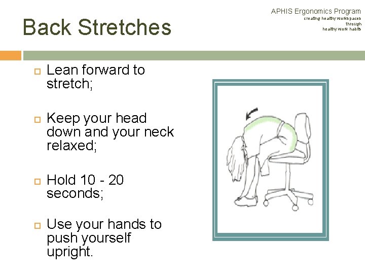 Back Stretches Lean forward to stretch; Keep your head down and your neck relaxed; Back Stretches Lean forward to stretch; Keep your head down and your neck relaxed;
