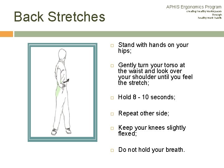 APHIS Ergonomics Program Back Stretches creating healthy workspaces through healthy work habits Stand with APHIS Ergonomics Program Back Stretches creating healthy workspaces through healthy work habits Stand with