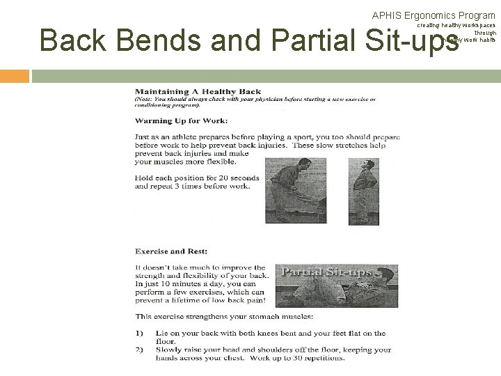 APHIS Ergonomics Program creating healthy workspaces through healthy work habits Back Bends and Partial APHIS Ergonomics Program creating healthy workspaces through healthy work habits Back Bends and Partial