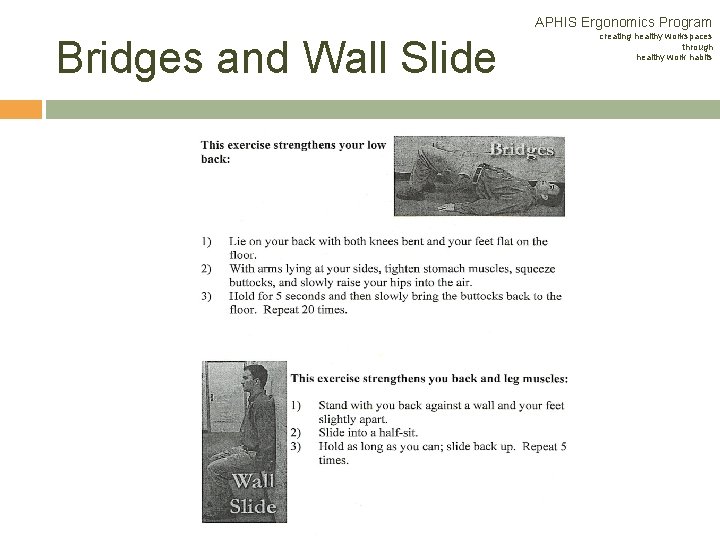 APHIS Ergonomics Program Bridges and Wall Slide creating healthy workspaces through healthy work habits APHIS Ergonomics Program Bridges and Wall Slide creating healthy workspaces through healthy work habits
