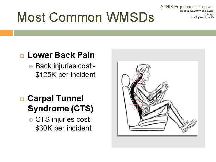 APHIS Ergonomics Program Most Common WMSDs Lower Back Pain Back injuries cost - $125 APHIS Ergonomics Program Most Common WMSDs Lower Back Pain Back injuries cost - $125