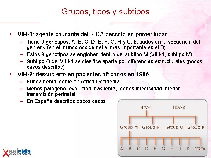 Grupos, tipos y subtipos • VIH-1: agente causante del SIDA descrito en primer lugar.