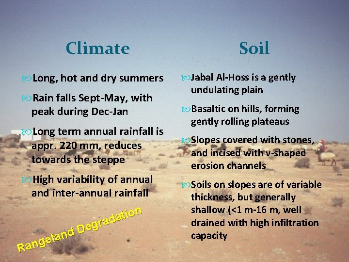 Climate Long, hot and dry summers Rain falls Sept-May, with peak during Dec-Jan Long