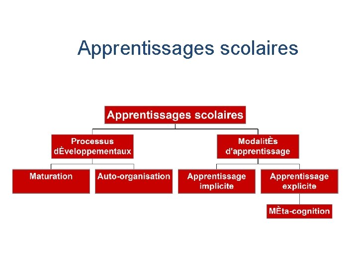 Apprentissages scolaires 