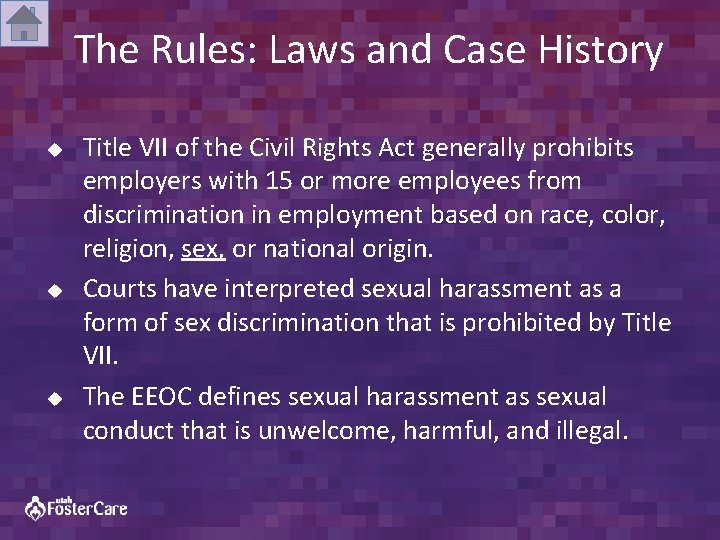 The Rules: Laws and Case History u u u Title VII of the Civil