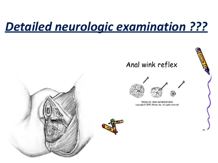 Detailed neurologic examination ? ? ? 
