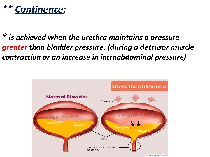 ** Continence: * is achieved when the urethra maintains a pressure greater than bladder