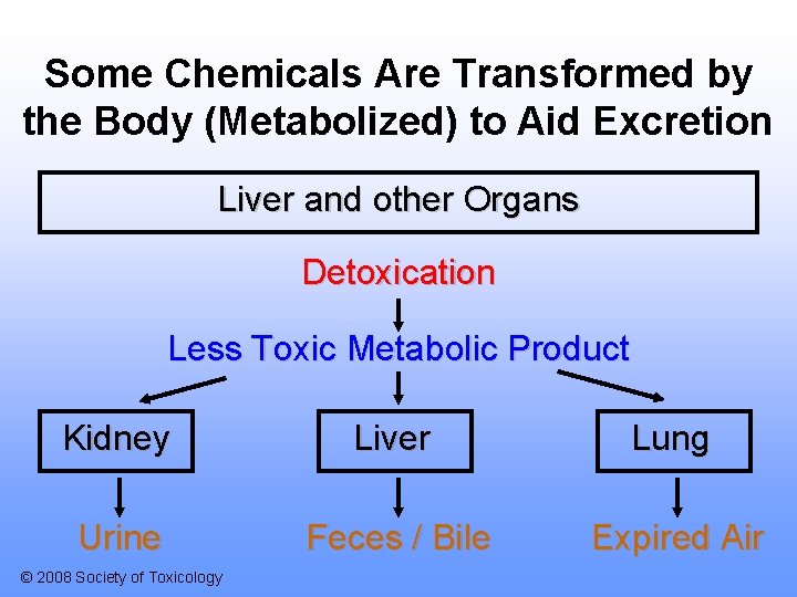 Some Chemicals Are Transformed by the Body (Metabolized) to Aid Excretion Liver and other