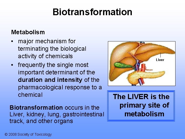 Biotransformation Metabolism • major mechanism for terminating the biological activity of chemicals • frequently