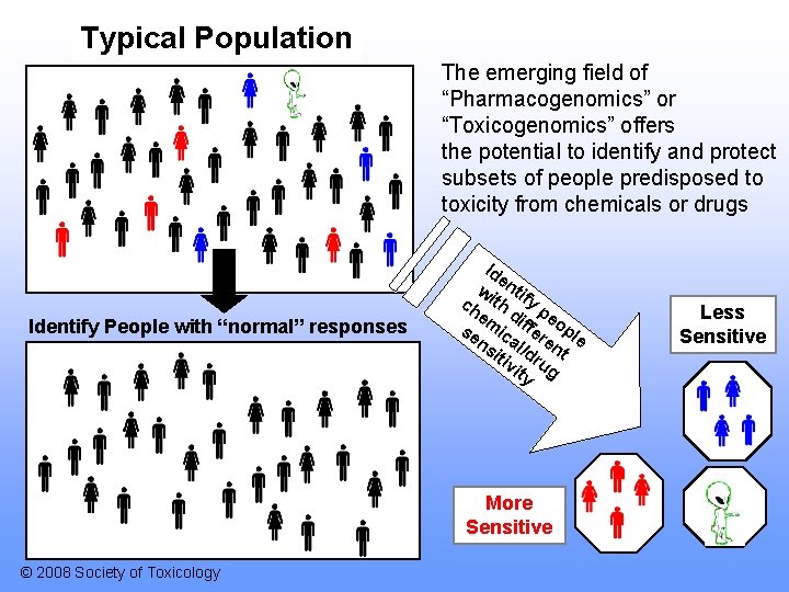 Typical Population The emerging field of “Pharmacogenomics” or “Toxicogenomics” offers the potential to identify