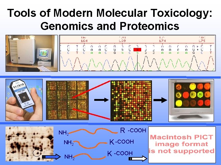 Tools of Modern Molecular Toxicology: Genomics and Proteomics NH 2 R -COOH K -COOH