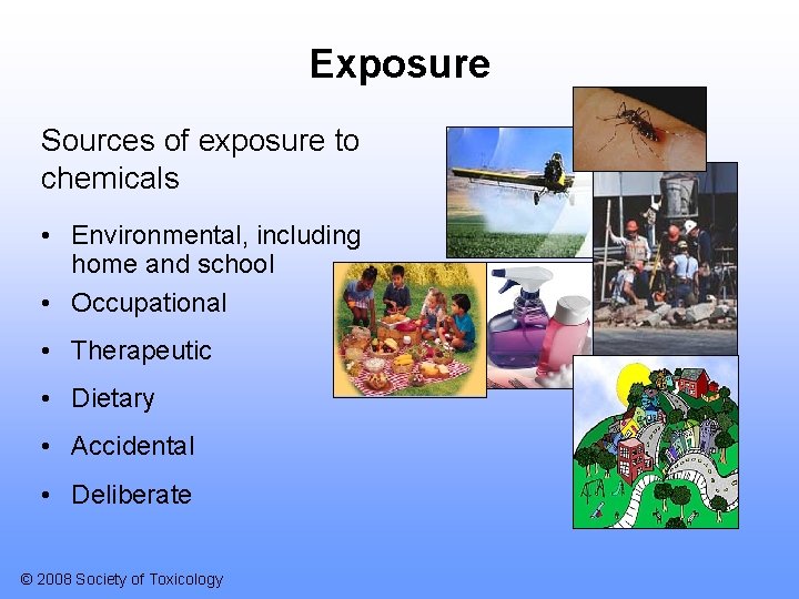 Exposure Sources of exposure to chemicals • Environmental, including home and school • Occupational